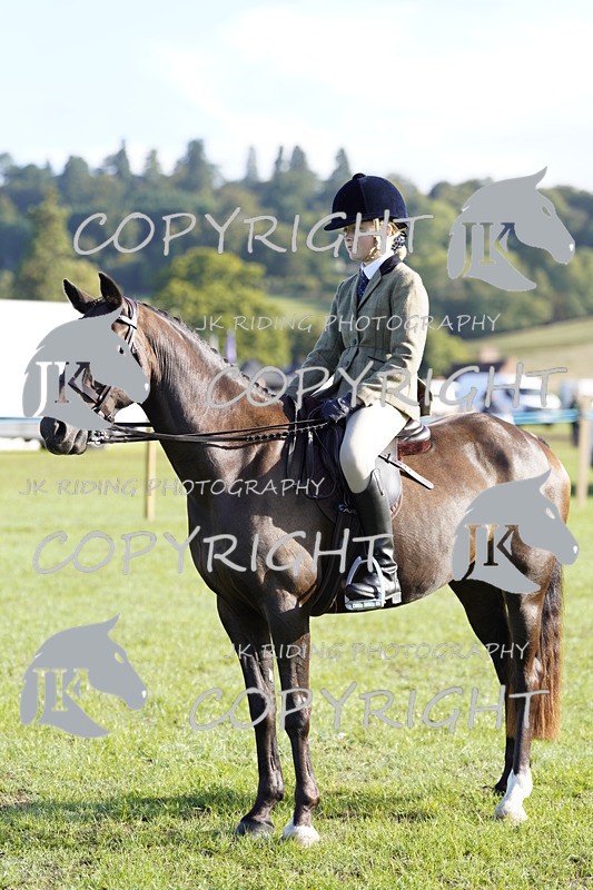 _DSC9411 - Class 8 & 17 Ridden Hunter & Ridden Hunter Pony