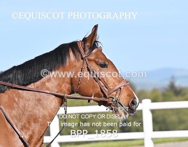 BPP_1858 - CLASS 2 - FRI - KBIS Club Senior 80cms