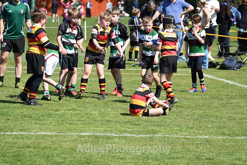  - Selby Rugby Festival 2025