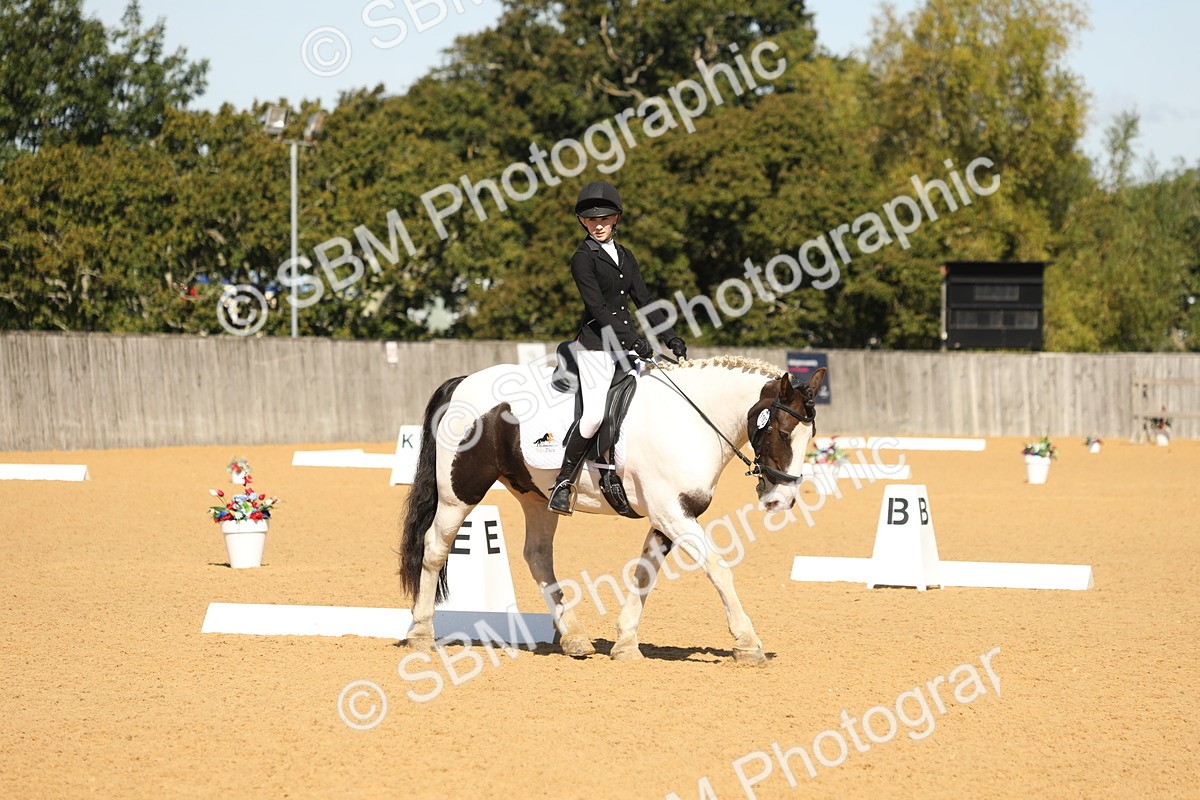 SBM_19771 - D10 - Small Tour Championship - Prelim 2