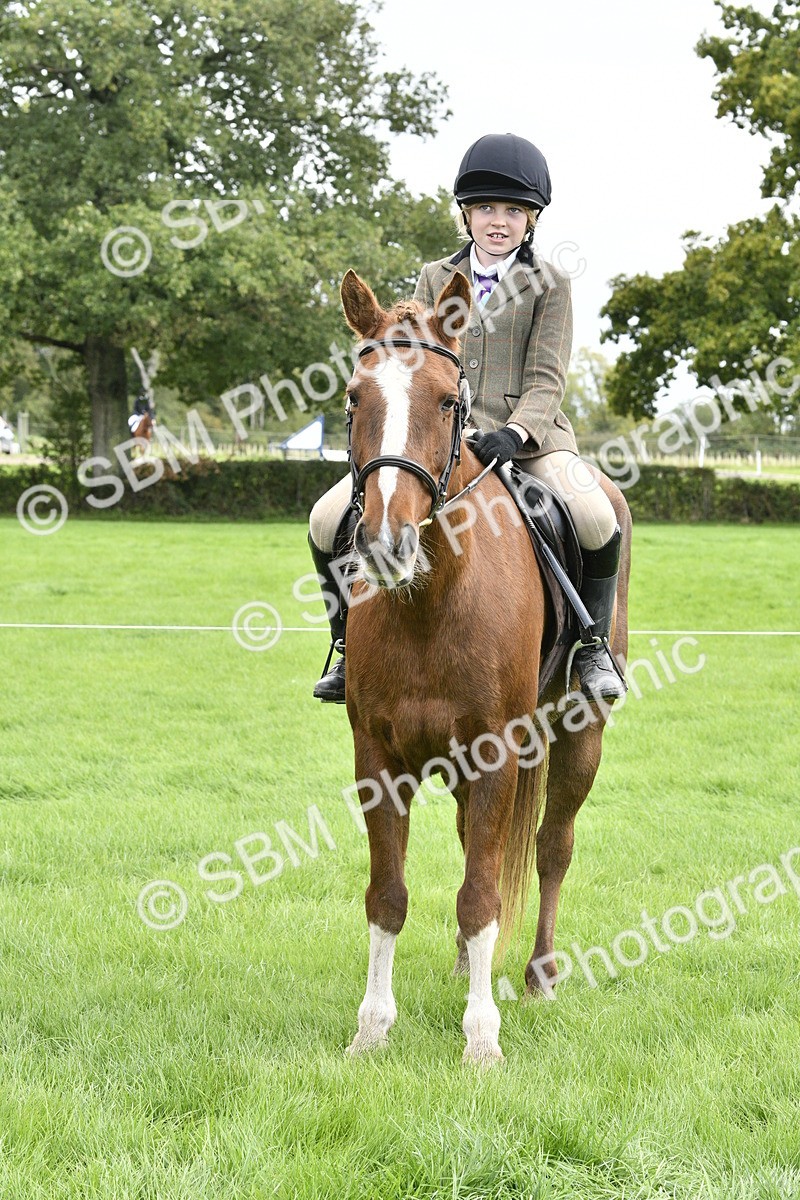 SBM_41618 - S32 - Mountain & Moorland Working Hunter Pony