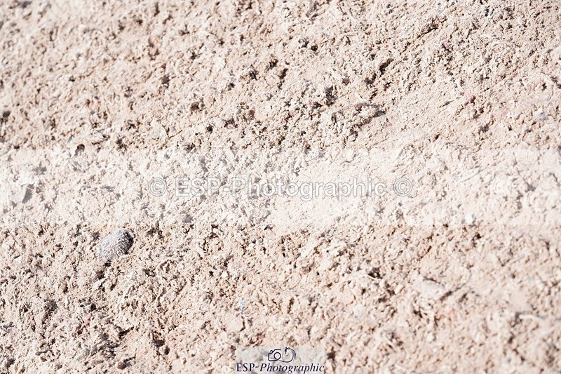 250425-125608-09233 - Cls 56 Veterans Mini Tour