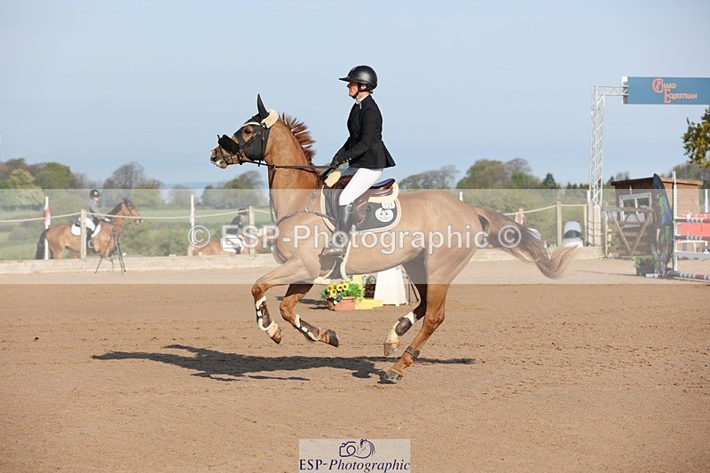 250427-083213-14512 - Cls 28 Young Horse 5yr old