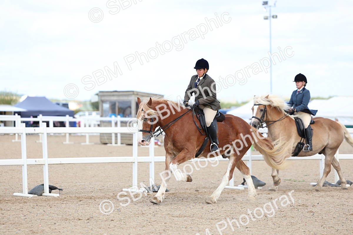 SBM_17174 - Class 315 - Best Horse - Rider Combination