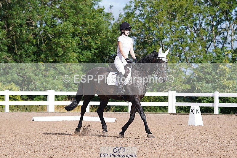 240809A-092500-00228 - Dressage Competition