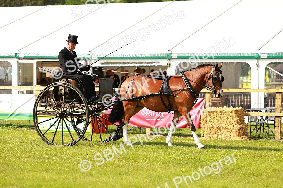 SBM_01130 - Class 2-4 - HOYS Private Driving