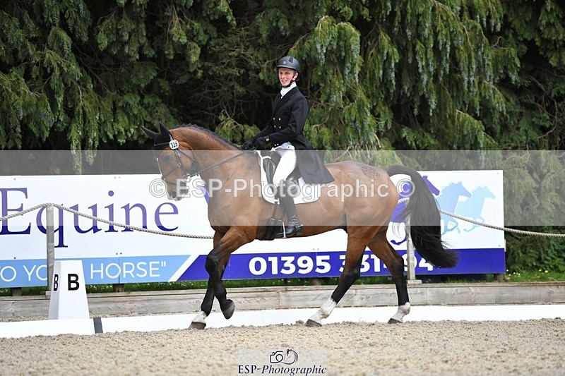 230525-151234-03209 - 325-LONESTAR-Thomas_Hawke-WEDTrotUp+DR