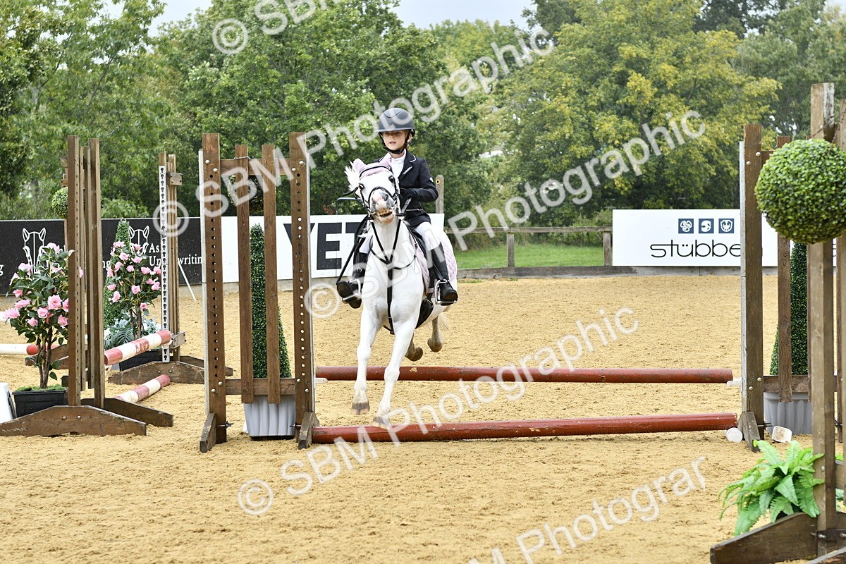 SBM_70898 - J3 - Mini Tour Junior Pony 40cm championship