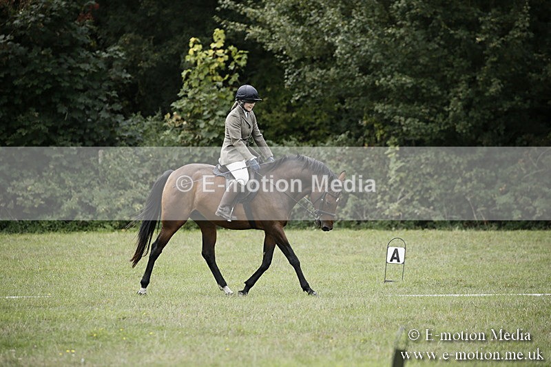 BVR080918 56 - BVRC Novice Dressage & CR 08/09/18