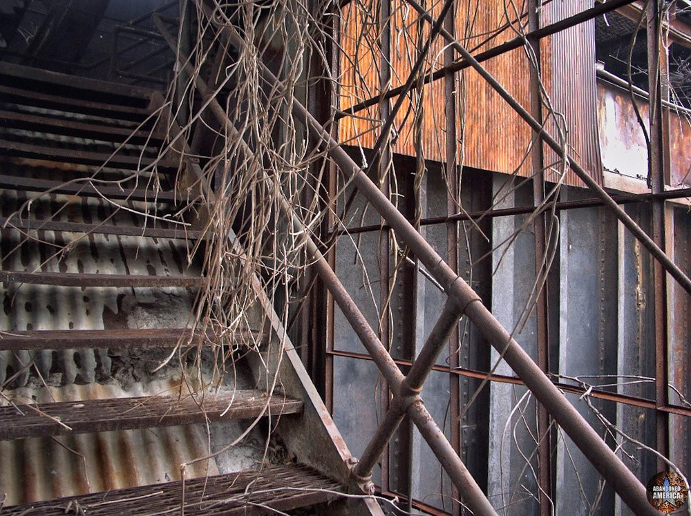 Billmeyer Limestone Quarry (Bainbridge, PA) | Tendrils - Billmeyer Limestone Quarry