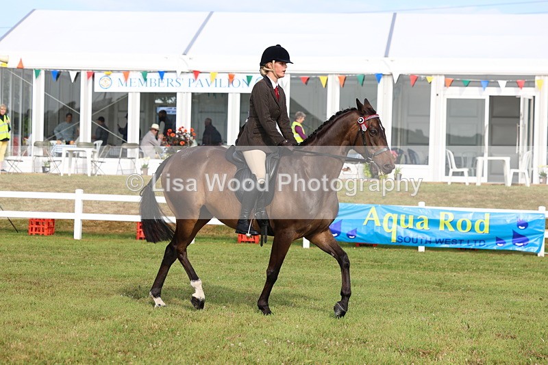 3E7A8262 - Class 2: Rising Star Large Hack/Riding Horse