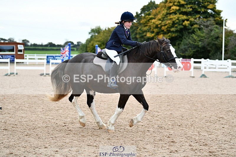 241013B-153929-01954 - Cls 6 80cm