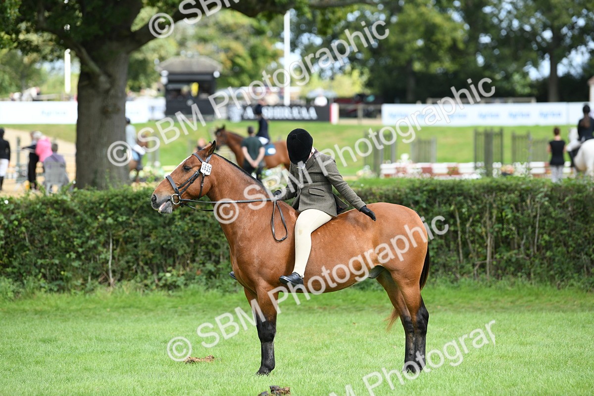 SBM_46877 - S12 - Family Horse & Pony