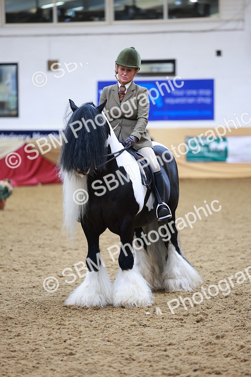 SBM_06258 - Class 12R - Ridden Pre-Vet