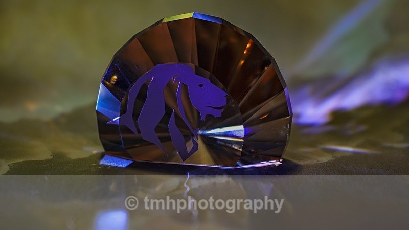 Lion & Shell. - Still Life / Contemporay Art