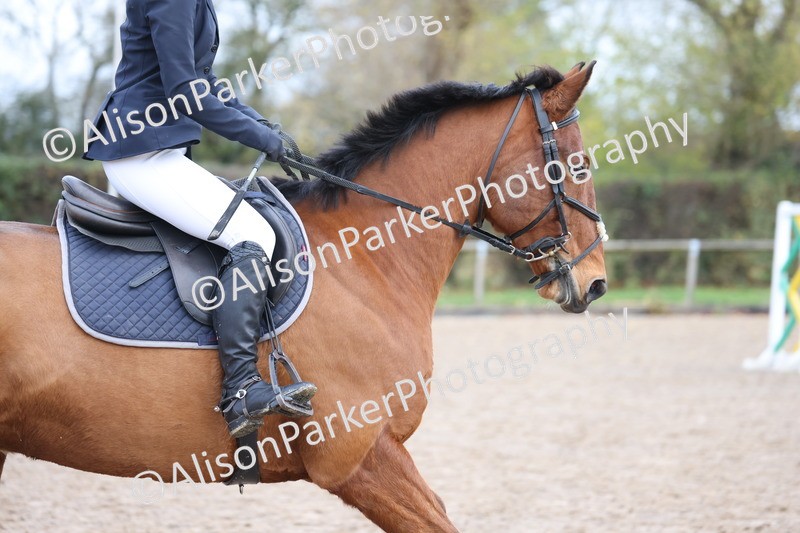 20251116-0344 - Class 3 - 80cm