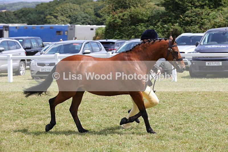 1X9A4812 - Class 35: Veteran In Hand