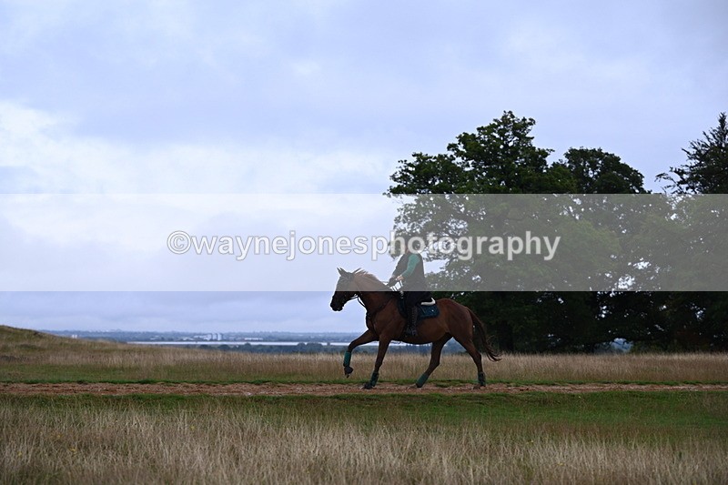 DSC_3742 - Time at Statue 13:51 to 14:55