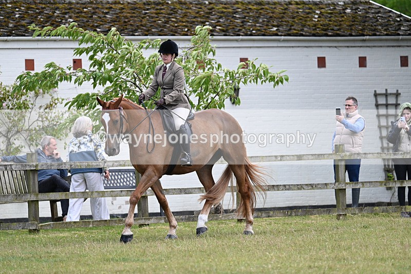 WJ7_9176 - Class 8 Ridden Veterans