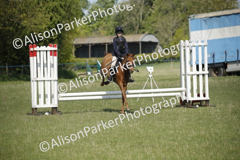 20250427-2079 - Class 13 - Novice Jumping 60cm