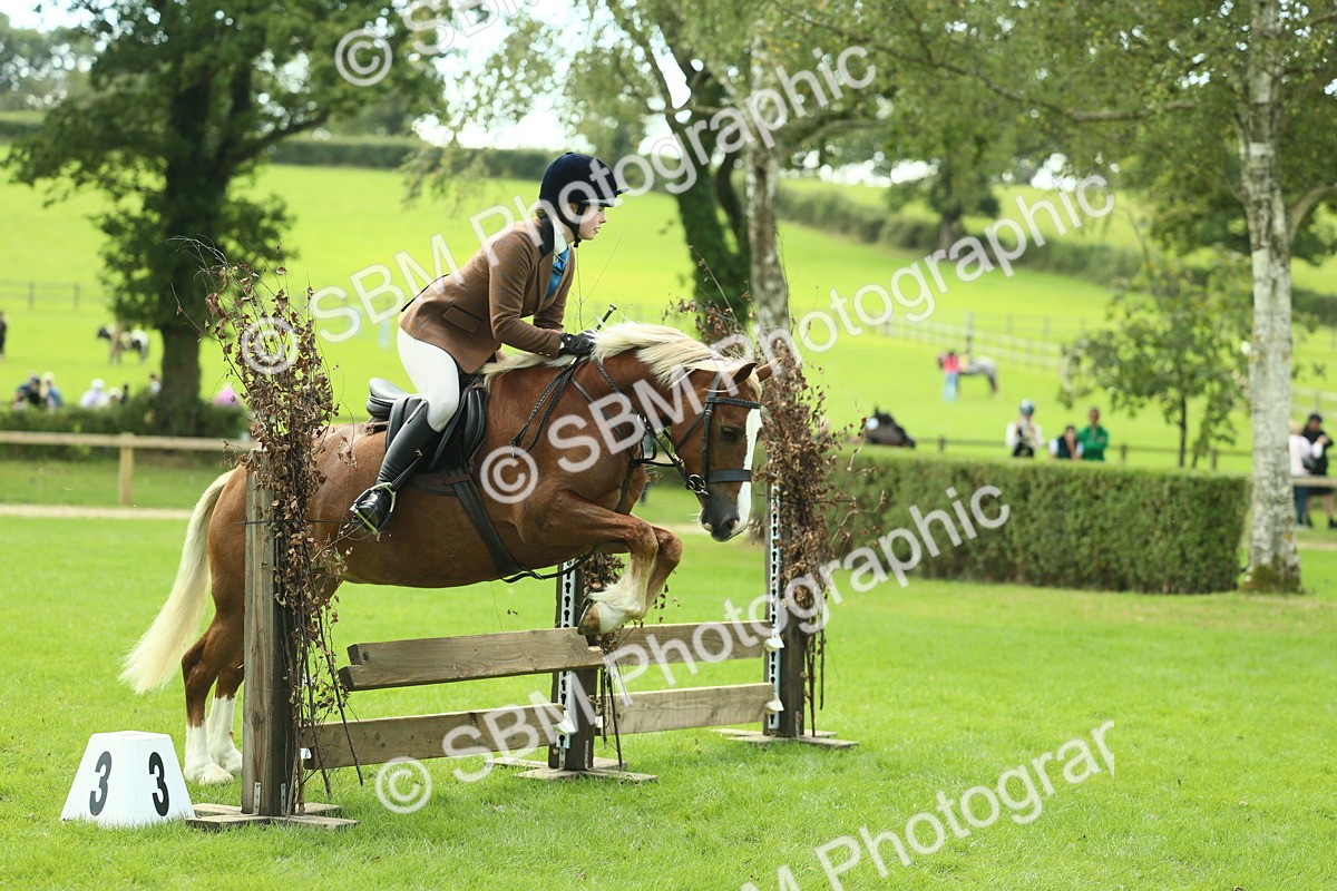 SBM_42820 - S30 - M&M Working hunter Pony