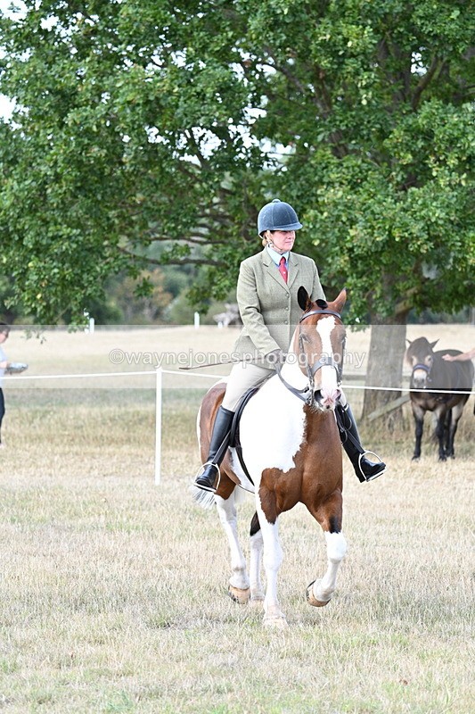 WJ7_7123 - Class 14 Ridden Coloured