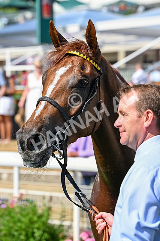 110726-Race 4-Raammee-7992 - Race 4 15.45pm John Smith's Cup