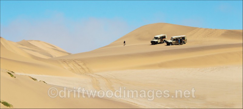 Namibia Walvis Bay desert  Living Desert dunes 6 A - Namibia, Southern Africa