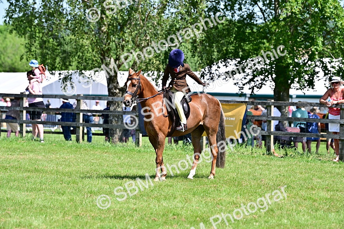 SBM_13946 - Class 95-97 - BSPS LHS Performance Ponies