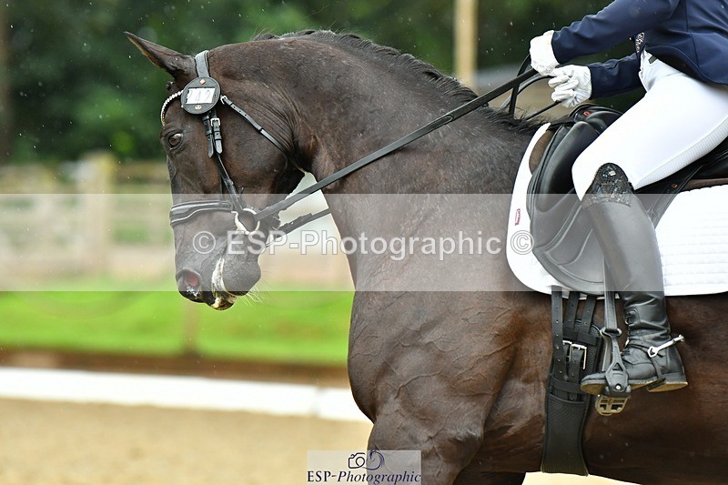 230722-163937-04025 - Cls 5, Elementary Silver 15.10 to End