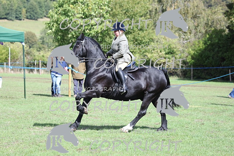 APP_3555 - Class 12 M&M ridden