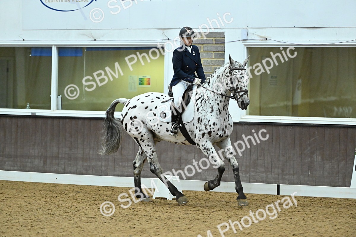 SBM_007503 - Class 81 - Novice 3