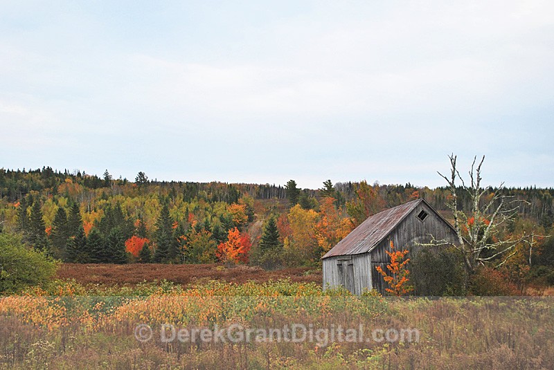 Barn of Yore