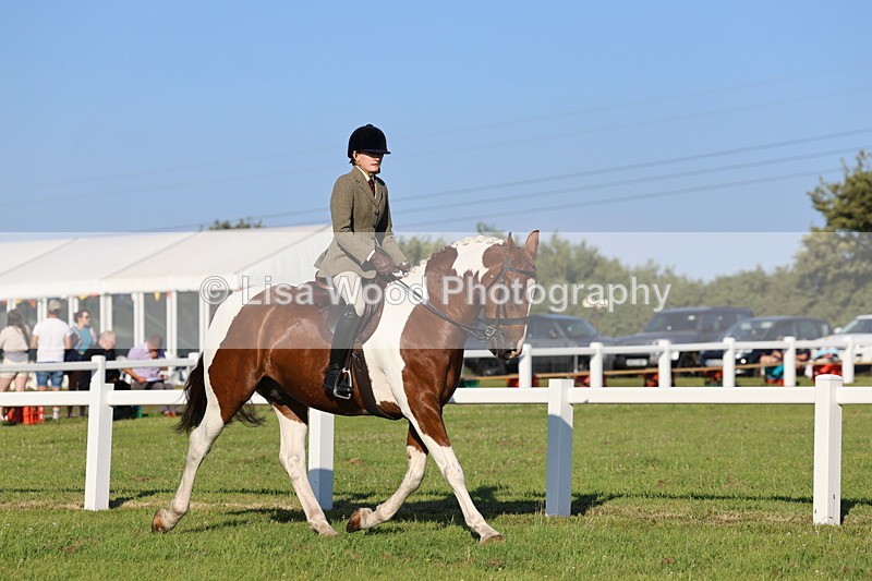 IMG_1224 - Class 27: Ridden Plaited Coloured Horse