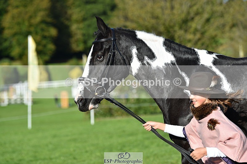 231022-104124-22670 - 438-KILCORBAN.MY.FAIR.LADY-Natasha.Crapper-TrotUp+SJ