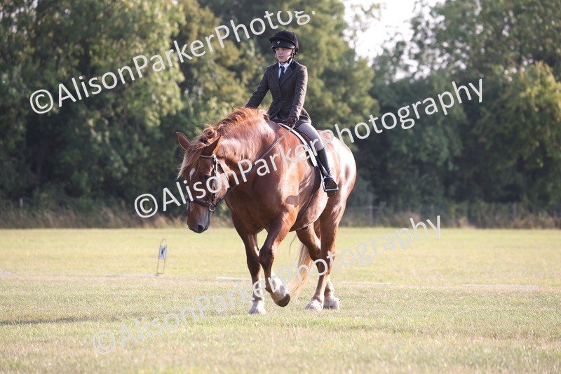 20250731-0788 - Class 1 - Intro 4