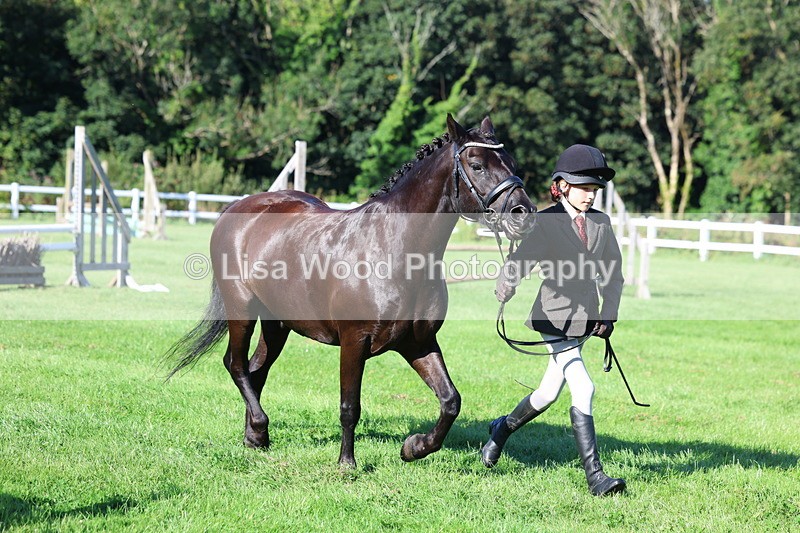 3E7A7682 - Class 1: Novice Working Hunter Pony