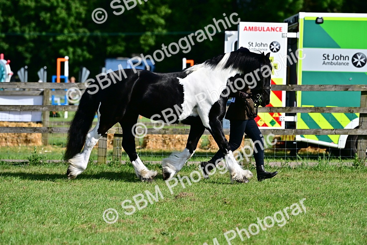 SBM_10089