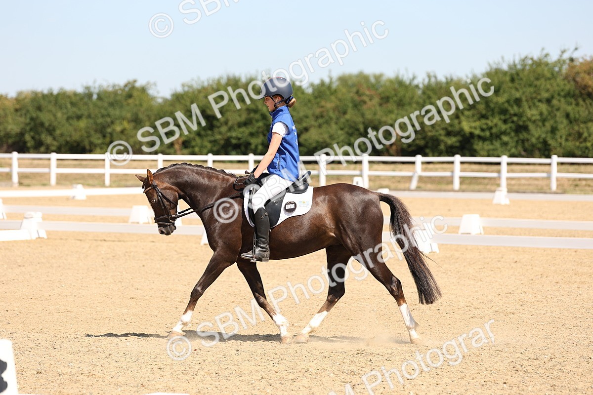 SBM_001188 - Intro 2