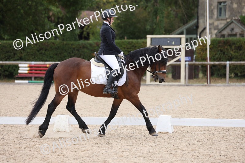 20250820-1094 - Class 17 - Elementary 4