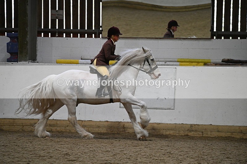 WJ7_3687 - Class 16 Ridden Coloured/ Odd Coloured