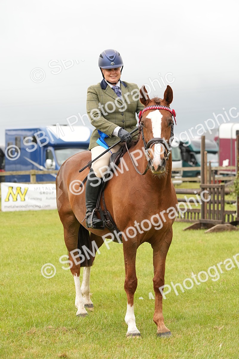 SBM_10657 - Class 97-98 - LIHS BSHA Rising Star Working Show Horse Hunter