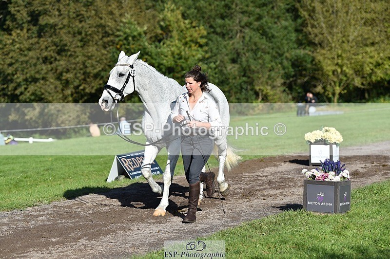 231022-110728-23738 - 437-DONBEG.GREY-Hannah.Underhill-TrotUp+SJ