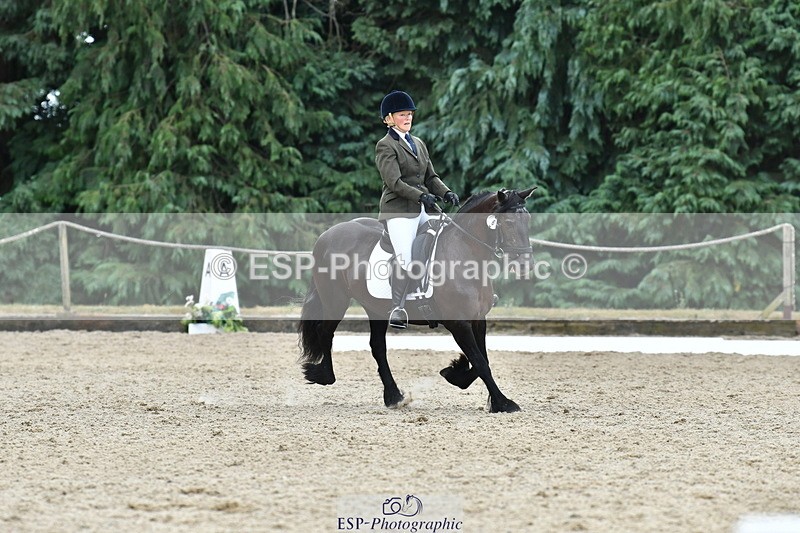 260801A-122253-03908 - Prelim Bronze Break - End