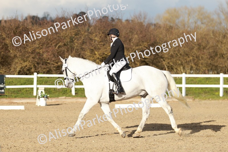 20260314-6265 - CT7 - Elementary 2