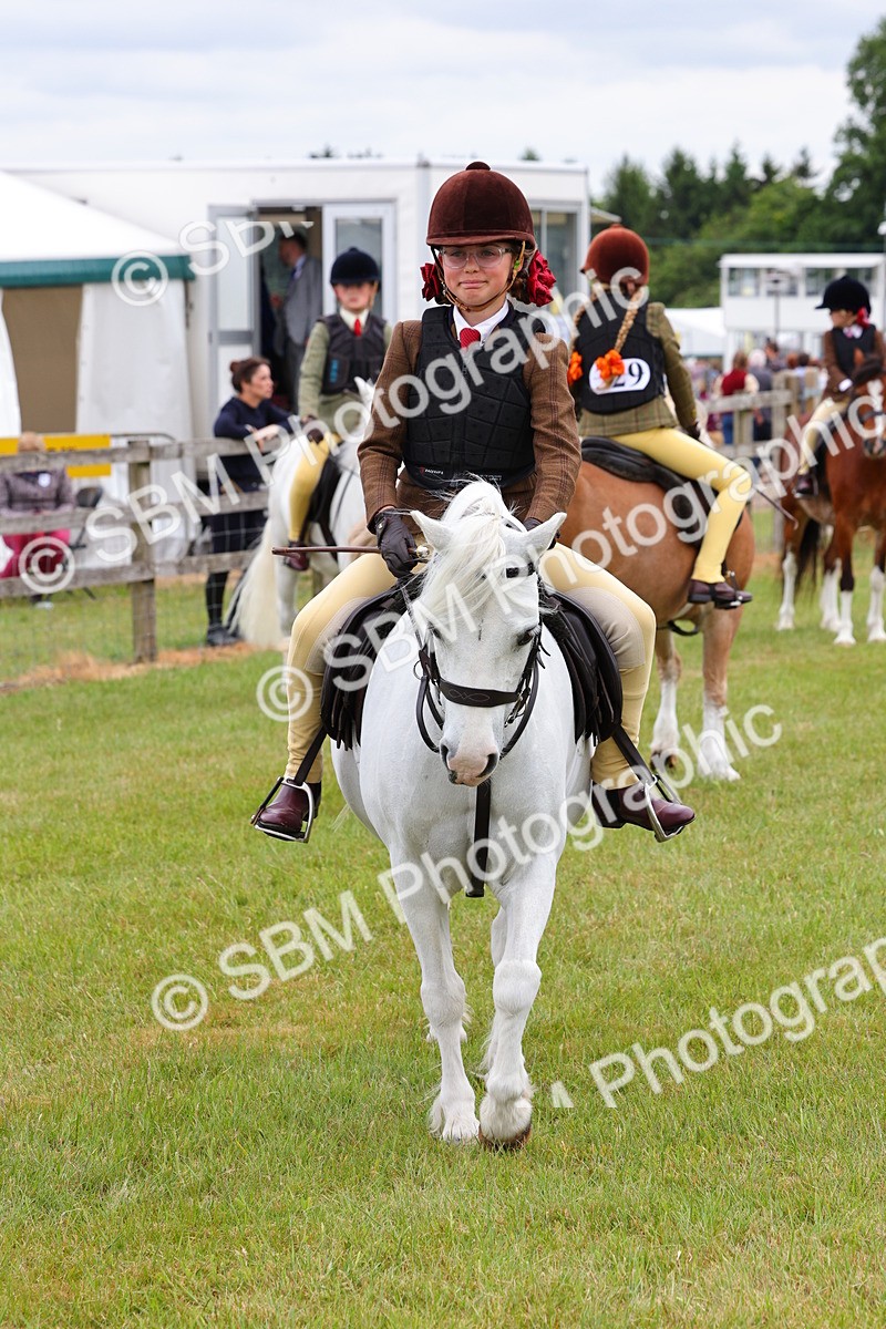 SBM_08818 - Class 42-43 - LIHS BSPS Heritage Working Sports Pony