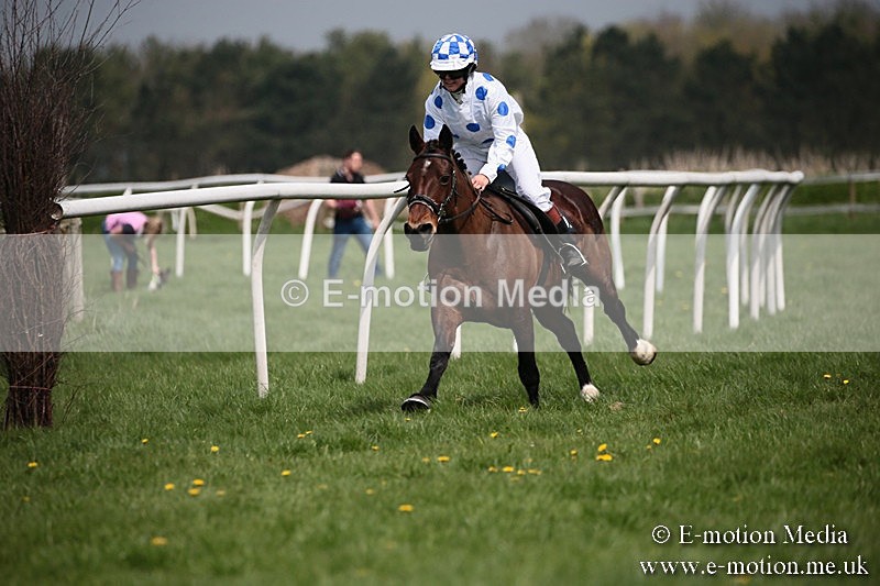 PtP 210418 45 - South & West Wilts Point-to-Point Larkhill 21/04/18