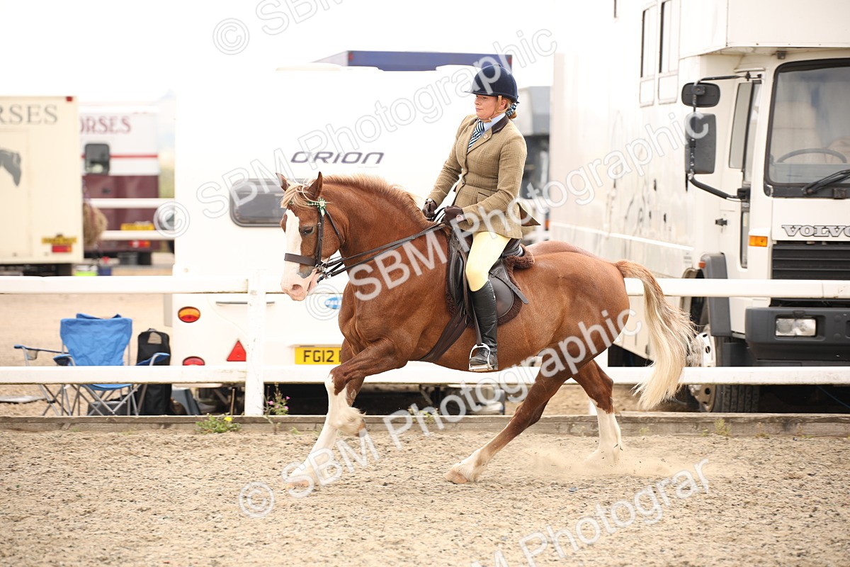 SBM_12606 - Class 405b - M&M Working Veteran 50cm 20+