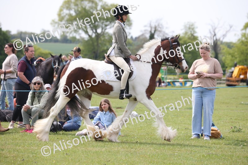 20260426-2926 - Class 33 - Best Pony 14.2hh and Under