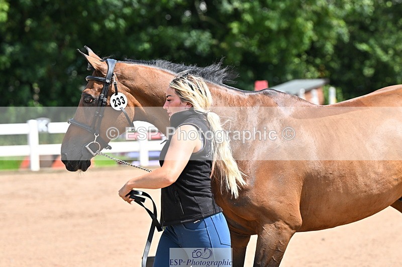 240718A-105240-01014 - Trot Up 11am to 12pm